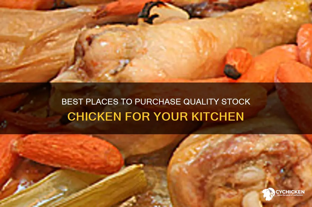 where to buy stock chicken