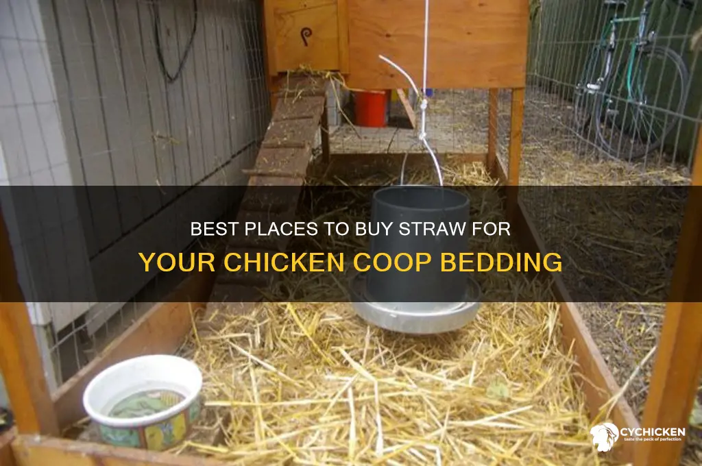 where to buy straw for chicken coop