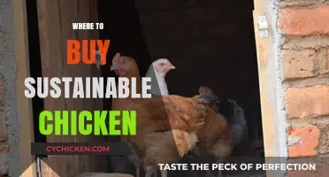 Eco-Friendly Poultry Picks: Where to Buy Sustainable Chicken Locally