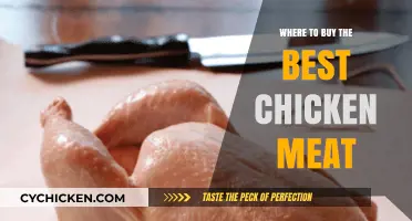 Discover Top Spots for Premium Quality Chicken Meat Purchases