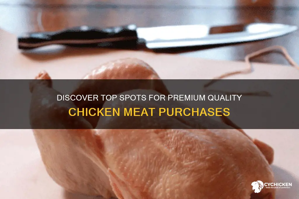 where to buy the best chicken meat