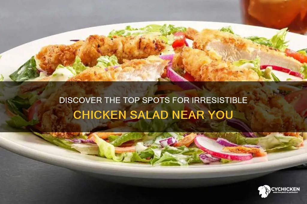 where to buy the best chicken salad