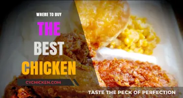Discover Top Spots for the Juiciest, Most Flavorful Chicken