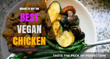 Top Spots to Find the Best Vegan Chicken Options