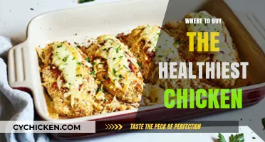 Discover the Best Sources for Nutritious, High-Quality Chicken Options