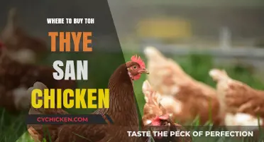 Discover the Best Places to Buy Toh Thye San Chicken
