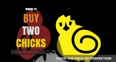 Where to Buy Two Chicks: Top Sources and Tips for Purchase