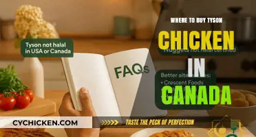 Where to Buy Tyson Chicken in Canada: Top Retailers Guide