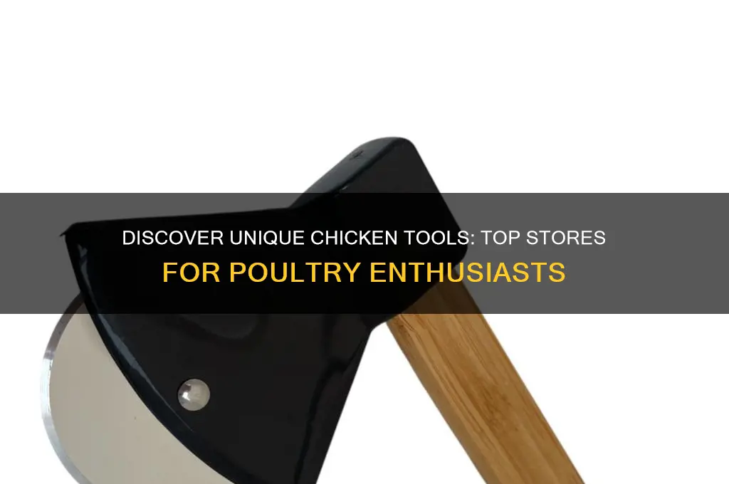 where to buy unique chicken tools