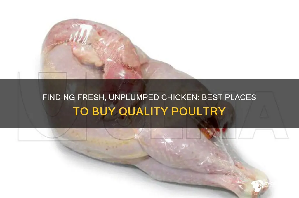 where to buy unplumped chicken