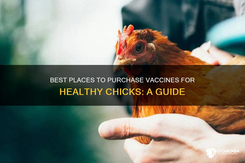 where to buy vaccines for chicks
