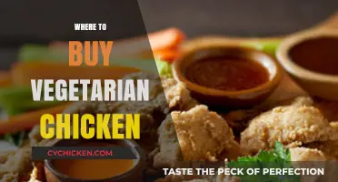 Discover Top Stores for Delicious Vegetarian Chicken Alternatives