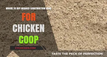Best Places to Buy Washed Construction Sand for Chicken Coops