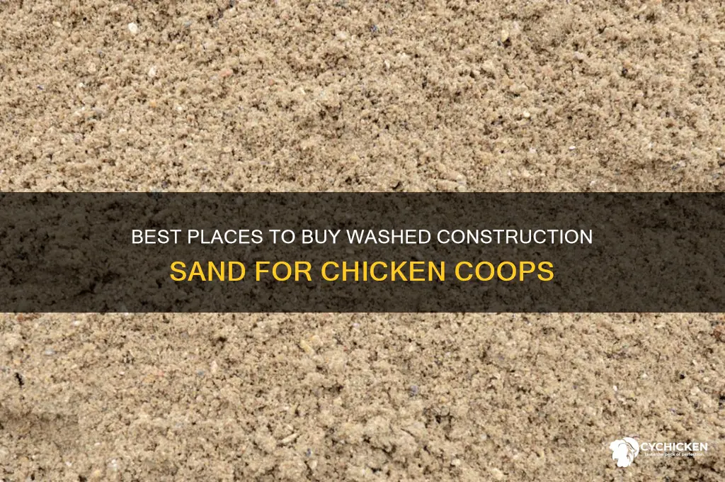where to buy washed construction sand for chicken coop