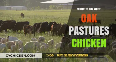Where to Buy White Oak Pastures Chicken: Top Retailers and Tips