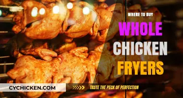 Best Places to Buy Whole Chicken Fryers for Perfect Crispy Meals