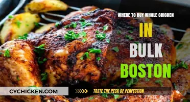 Boston's Best Bulk Whole Chicken Suppliers: Where to Buy Fresh Poultry