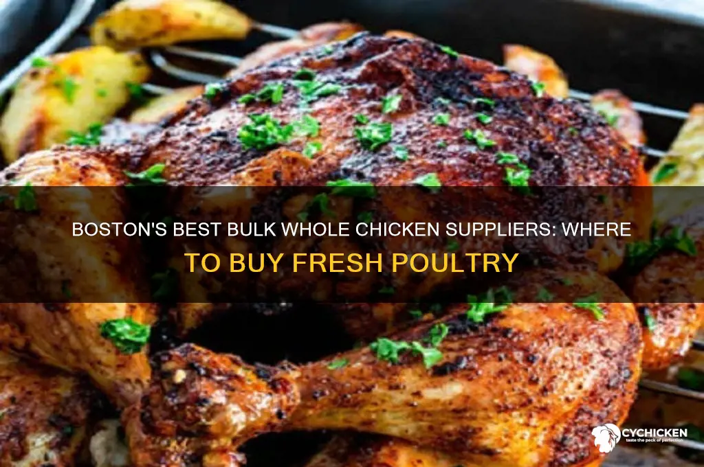 where to buy whole chicken in bulk boston