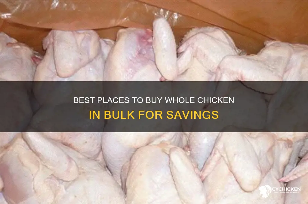where to buy whole chicken in bulk