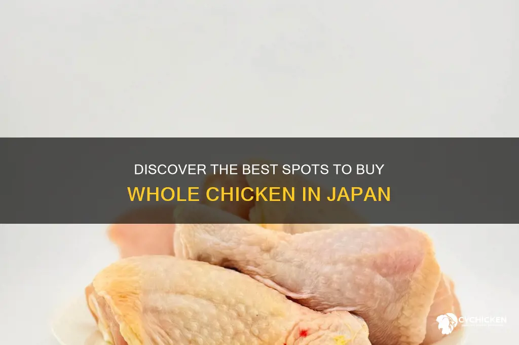 where to buy whole chicken in japan