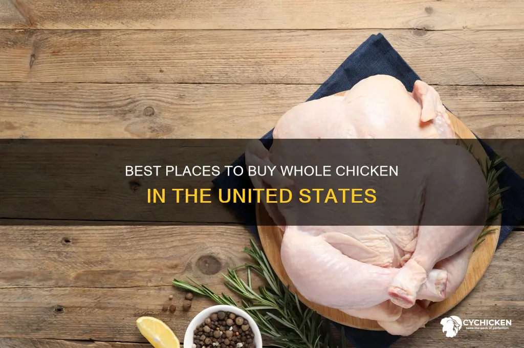 where to buy whole chicken in us