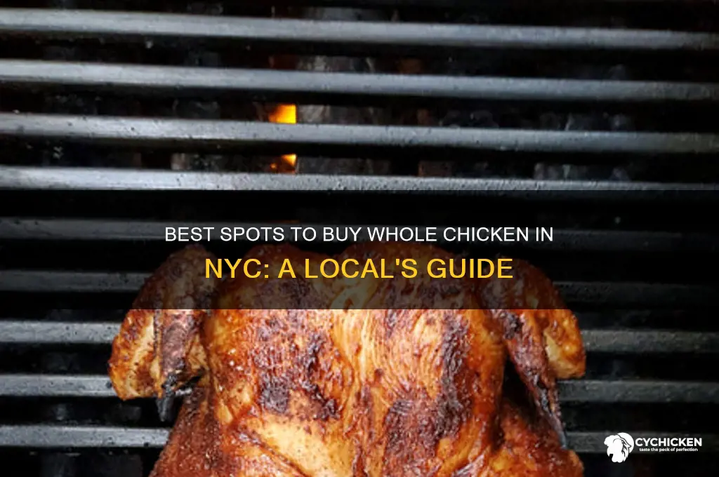where to buy whole chicken nyc