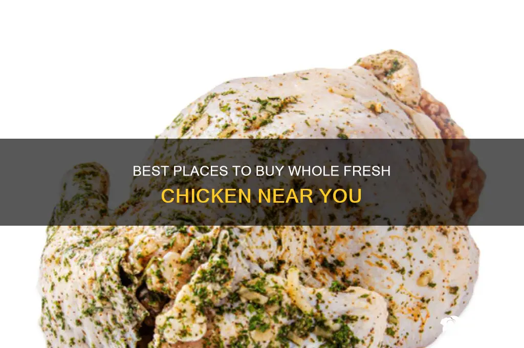 where to buy whole fresh chicken