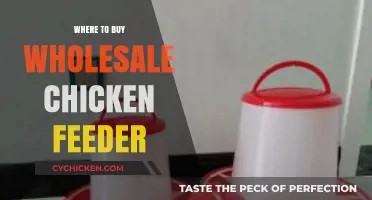 Top Wholesale Chicken Feeder Suppliers: Where to Buy in Bulk
