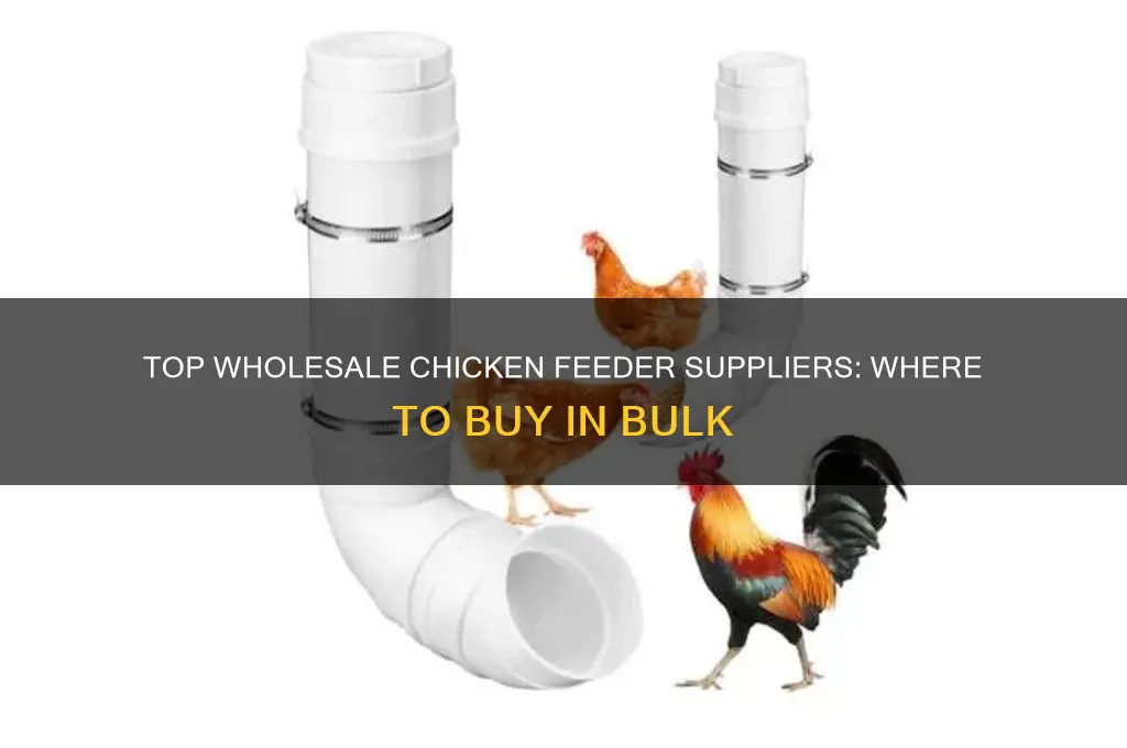 where to buy wholesale chicken feeder