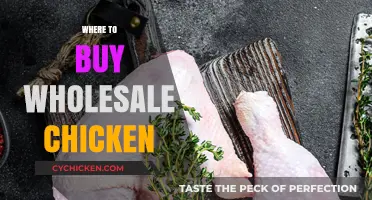 Top Wholesale Chicken Suppliers: Where to Buy in Bulk