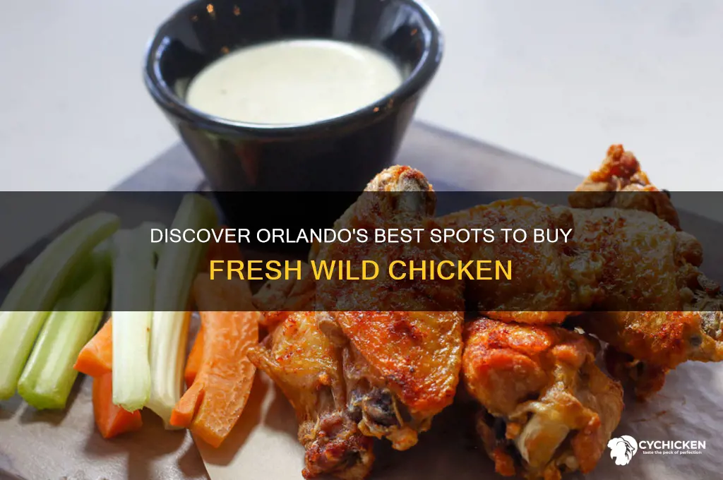 where to buy wild chicken in orlando