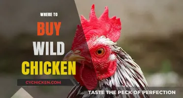 Discover the Best Sources to Buy Wild Chicken Locally and Online