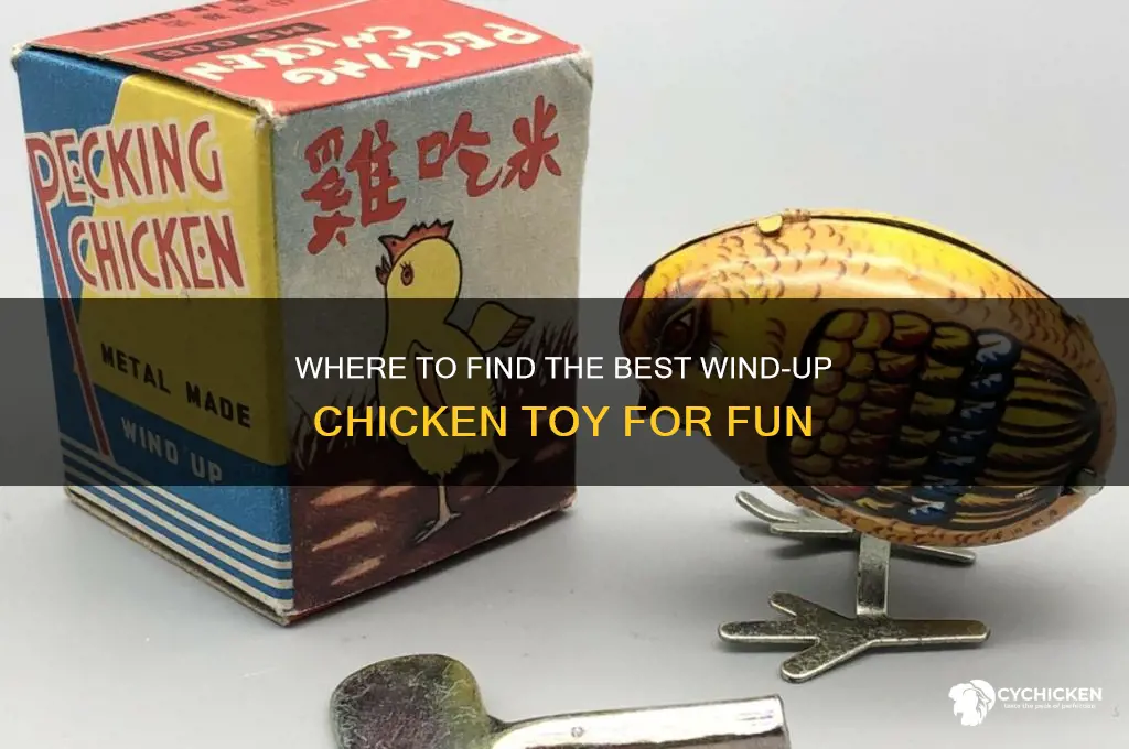 where to buy wind up chicken toy