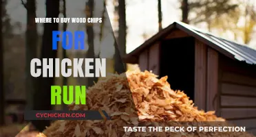 Best Places to Buy Wood Chips for Your Chicken Run