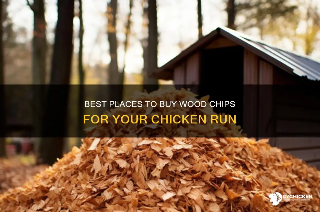 where to buy wood chips for chicken run