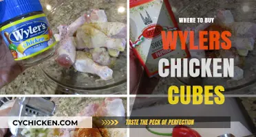 Discover the Best Places to Buy Wyler's Chicken Cubes