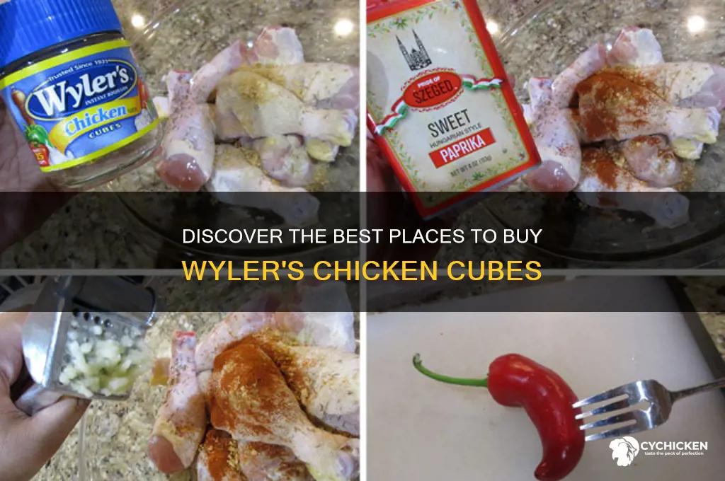 where to buy wylers chicken cubes