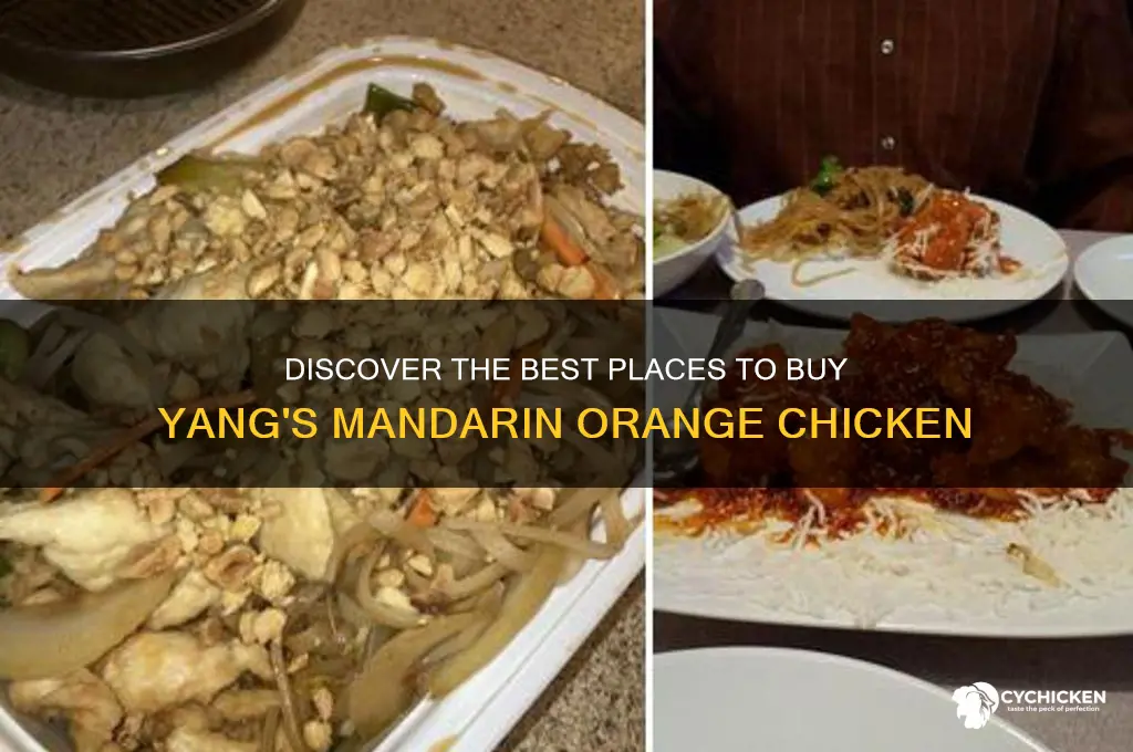 where to buy yangs mandarin orange chicken