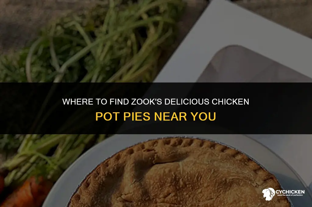 where to buy zook