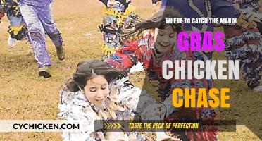 Catch the Mardi Gras Chicken Chase: Best Spots to Join the Fun