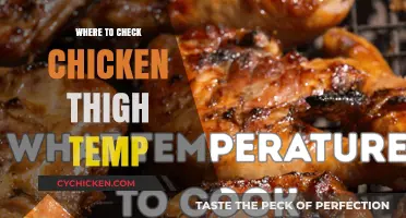 Perfectly Cooked Chicken Thighs: Where to Check Internal Temperature