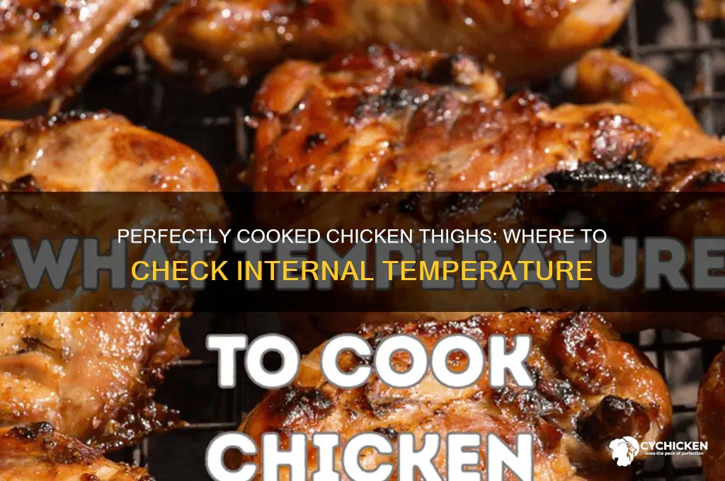 where to check chicken thigh temp