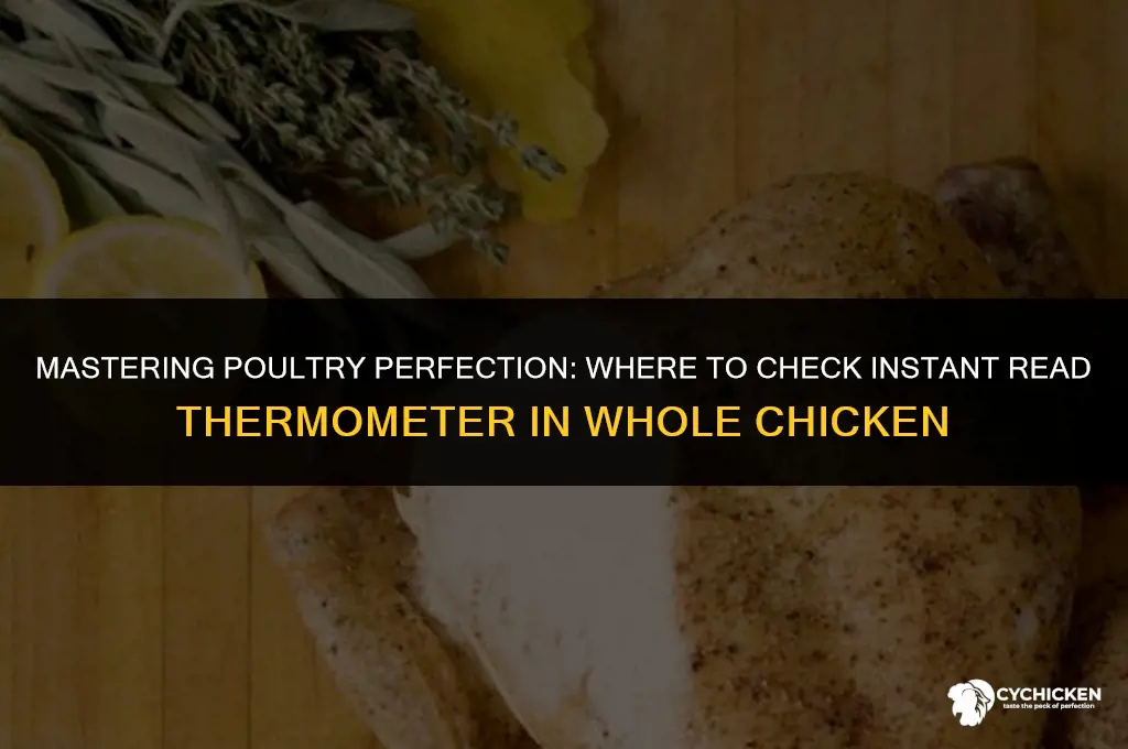 where to check instant read thermometer in whole chicken