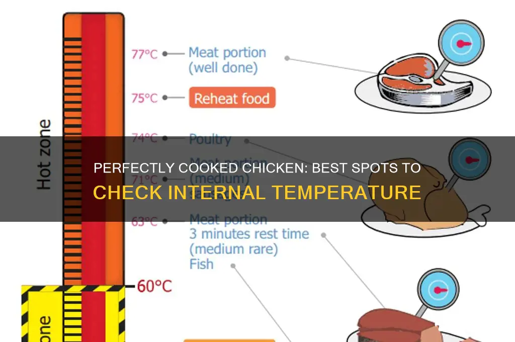 where to check internal temp of a chicken