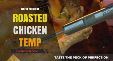 Perfectly Cooked: Best Spots to Check Roasted Chicken Temperature