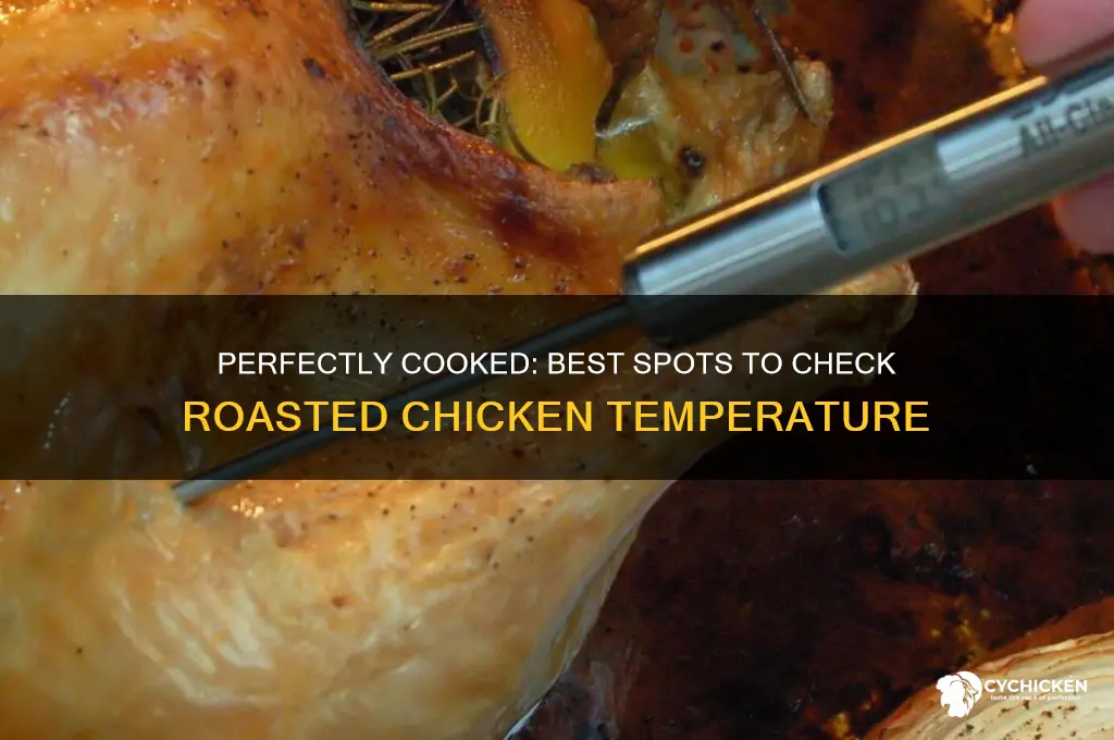 where to check roasted chicken temp