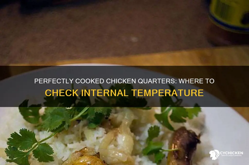 where to check temp on chicken quarters