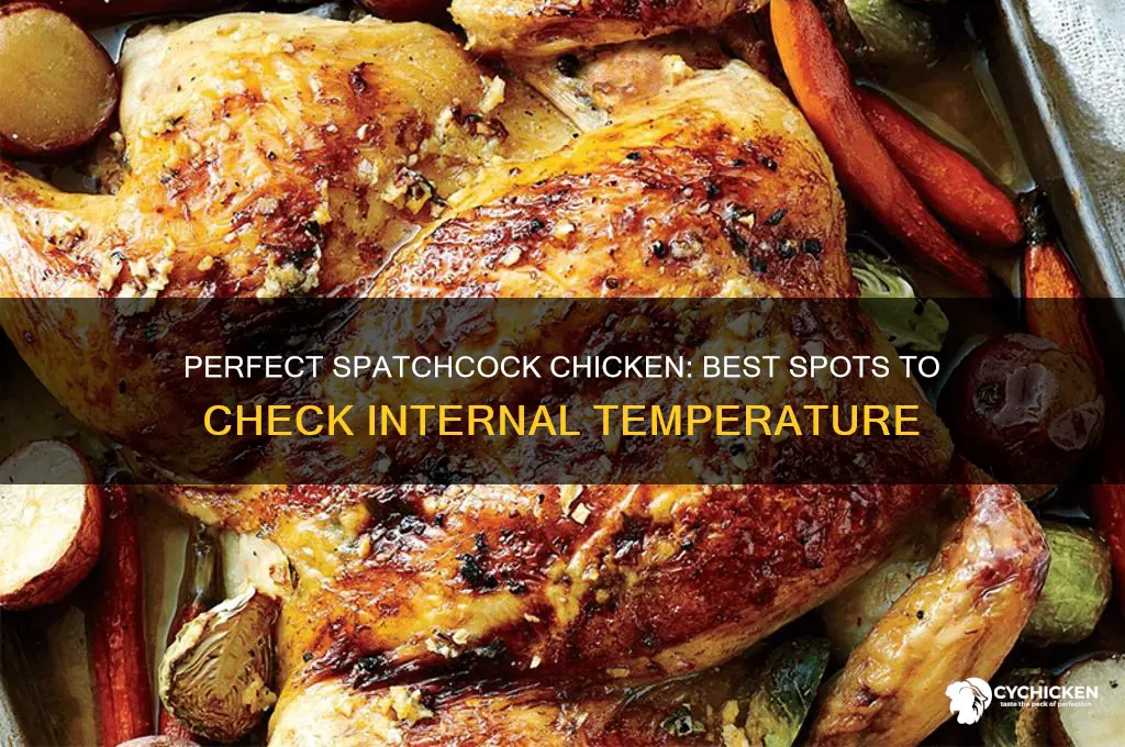 where to check temp on spatchcock chicken