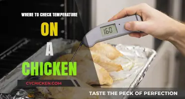 Mastering Chicken Cooking: Where to Check Temperature for Perfect Results