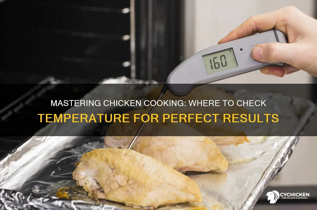 where to check temperature on a chicken